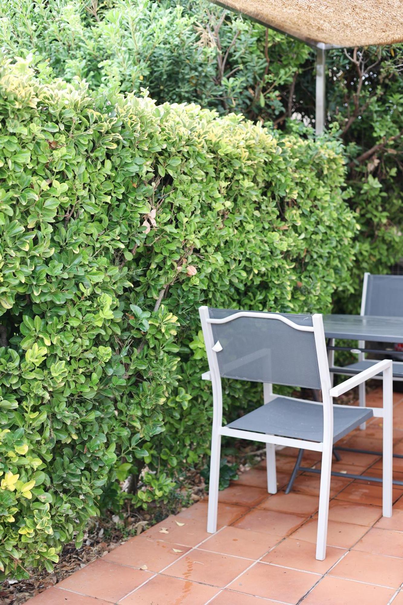 Ferienwohnung Marina Di Fautea Olmucciu Zimmer foto